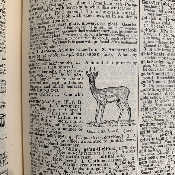 COPY - Vintage Websters Collegiate Dictionary Book Ephemera Paper Farmhouse Dec… - Picture 6 of 10